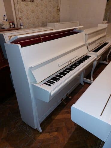 yamaha piano qiymeti: Pianino PETROF Cexiya stehsalı. İdeal vəziyyədə. Cadrılma və köklənmə — 2