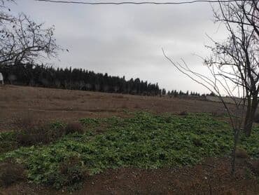 Torpaq sahələrinin satışı: 34 sot, Biznes üçün, Mülkiyyətçi, Kupça (Çıxarış)