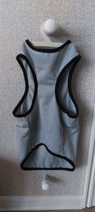 переноска для кошек баку: It geymi.yenidir.25 azne almiwam.eynine olmadi — 8