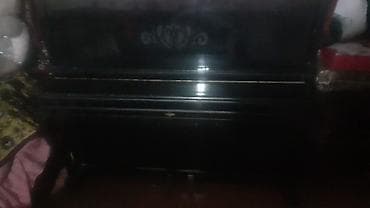 Səs avadanlığı: Upright pianino – klassik qara korpus, tam ölçülü 88 klaviş. - — 2