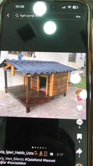 quş yuvası: Taxta it küpəsi və açıq volyer - Material: keyfiyyətli ağac və möhkəm — 4