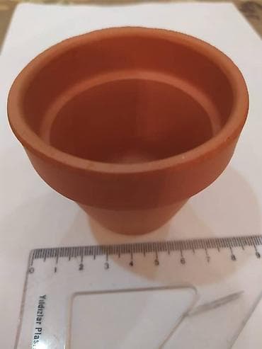 TƏCİLİ SATILIR! Mini gül dibçəkləri, ölçülərinə görə qiymətləri