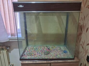 İtlər: Dördbucaq akvarium, Boş, 180 l, Ünvandan götürmə — 4