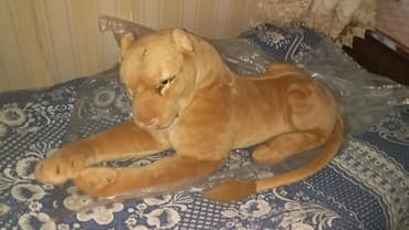 tetris qiymeti: Pələng tam təzədir.27 il əvvəl Amaydan alınmışdır.Sanki canlını — 1