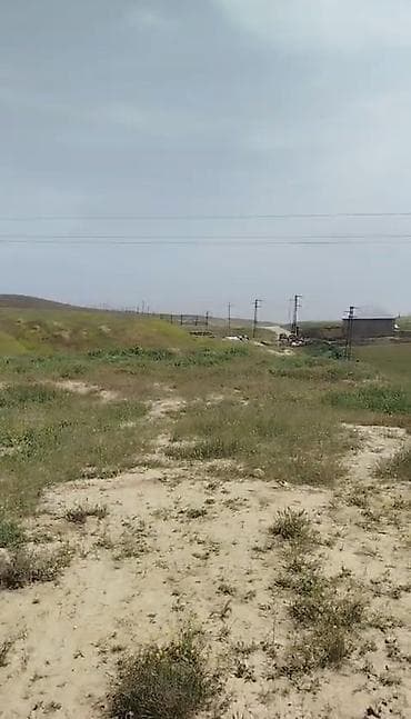 mansard ev satilir: Tecili satilir. Hokmelidə qazilerin binasinin yaninda 10 sota yaxin — 5