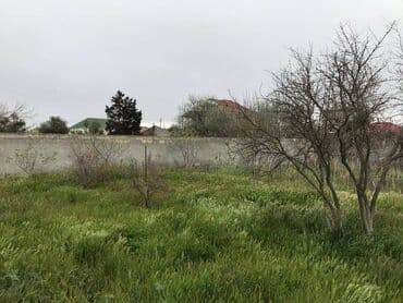 dübəndi torpaq: 12 sot, Tikinti, Makler, Kupça (Çıxarış) — 11