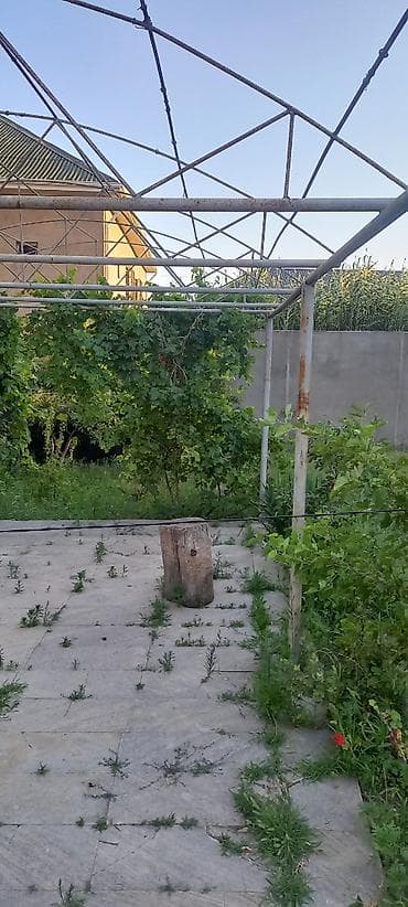 demir şifir: Hazir ferma navesdi rusun demirleridi pasi yoxdur ela vezyetdedi hazir — 3