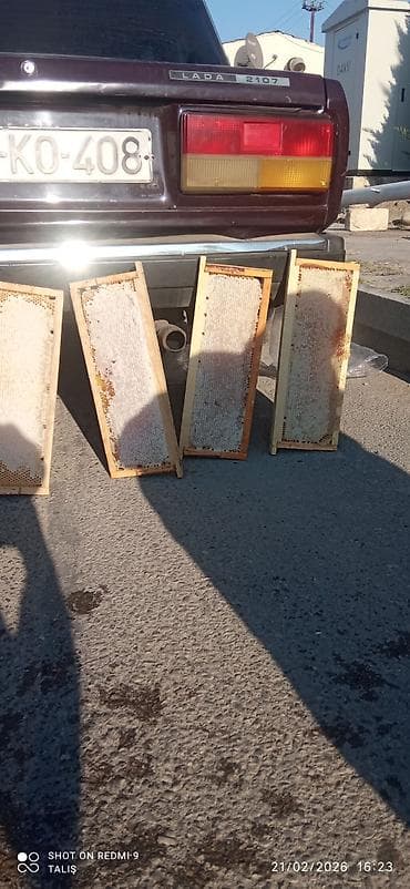 İçkilər: Satış: Arı pətəyi çərçivələrində təbii bal Məhsul təsviri: - — 2