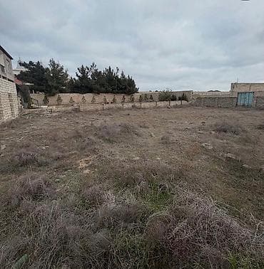 şuvalan: 6 sot, Kupça (Çıxarış) — 3