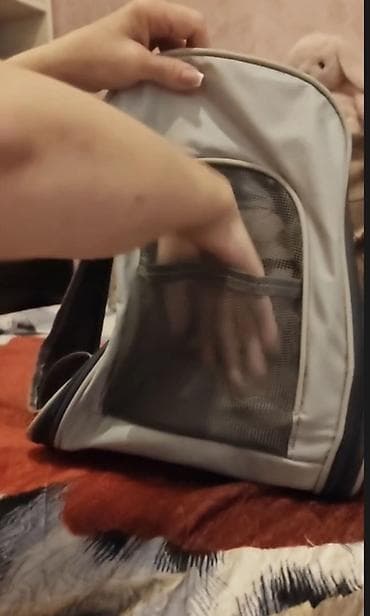 Heyvanlar üçün mallar: Ev heyvanları üçün daşıma çantası/backpack tipli daşıyıcı. Açıq boz — 7