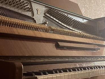 Piano, Belarus, Akustik, İşlənmiş, Ünvandan götürmə — 5