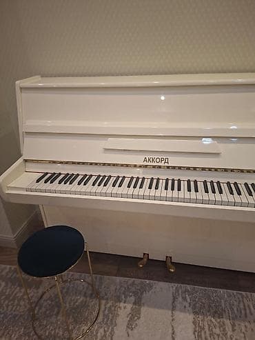 İdman və hobbi: Piano, Akkord, Akustik — 5