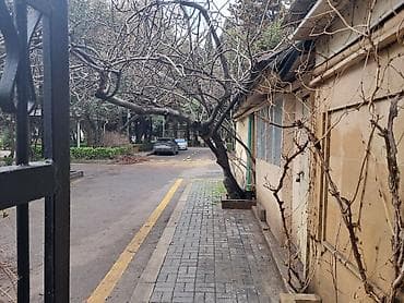 tir masin: ARENDA VERILIR WEHERIN MERKEZI Yerlewme yeri kohne nesimi mehkemesinin — 10