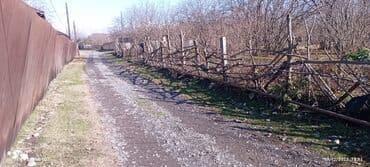 mx group inşaat: 18 sot, Tikinti, Makler, Bələdiyyə — 3