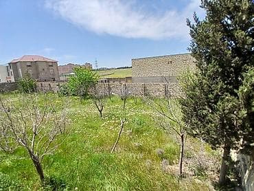 alatavada evler: 8 otaq, 250 kv. m, Kredit var, Təmirsiz — 7