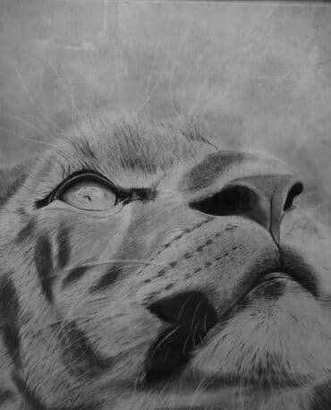 ana dilinə aid şəkillər çəkmək: Qara karandaşla 30 saata çəkilmiş hiperrealist rəsm əsəri satılır — 5