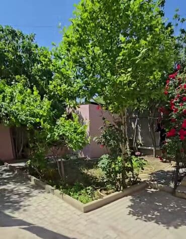 zaqatalada satilan evler 2023: 4 otaqlı, 110 kv. m, Yeni təmirli — 20