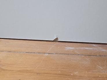 sadə matras: İşlənmiş, Təknəfərlik çarpayı, Bazalı, Matras ilə, Siyirməsiz — 4