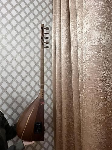 ses aparatura: Elektrikləşdirilmiş saz - Korpus: təbii ağacdan, armud formalı — 2