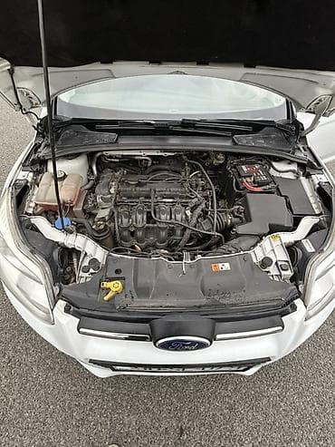 passat cc necə maşındır: Ford Focus – ağ rəng, sedan/hatçbek kuzov (arxa lövhədən Focus yazısı — 8