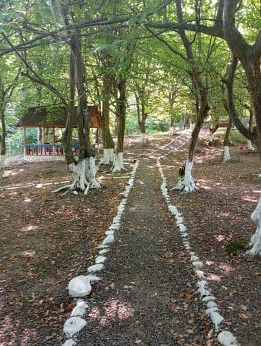 kirayə aylıq: 3000 kv. m, 3 otaqlı — 5