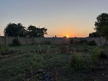Masalli rayonu Qasimli kendi mektebin yanina az qalmis heyat evi — 5