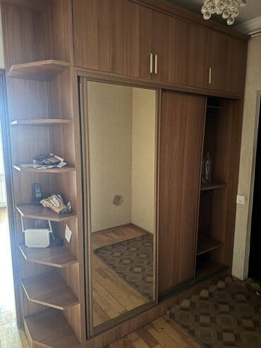 paltar asmaq ucun: İşlənmiş, Kupe, 2 qapılı Dəhliz dolabı — 12
