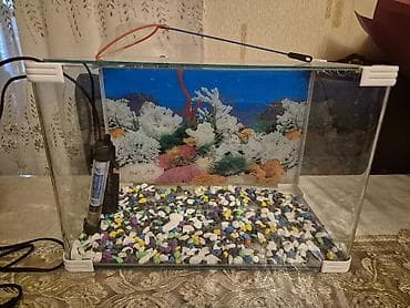 Şüşə akvarium komplekti. zavod akvarium.Ölçüsü uzunu 45, Hundurluk