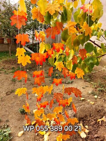 ramka sifarisi: Asma Payız yarpaqları / material süni yarpaqlar. 15 azn (10 ədəd asma — 1