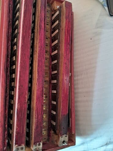 Музыкальные инструменты: Гармонь, Акустический — 2