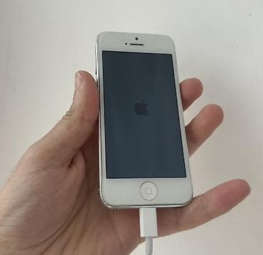 IPhone 5s, Ağ