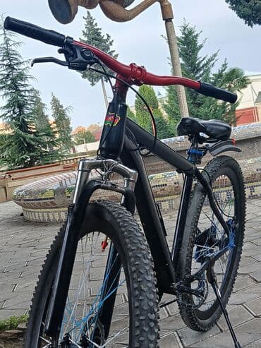 qaşıq dəstləri: Dağ velosipedi – 29” təkərli, geniş protektorlu şinlər - Rəng: tünd — 2