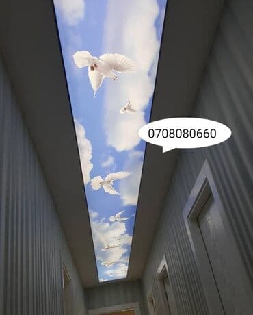 5d dartma tavan dartma tavanlar in topdan və pərakəndə satışı və