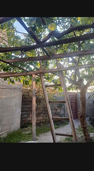 ev tavan modelleri: Sumqayıt şəhəri 1.5 sotun içində 2 otaq mansarıda var ordada otaq var — 4