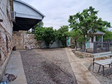 saray ev: 4 otaqlı, 200 kv. m, Yeni təmirli — 4