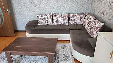 qaymaq ciceyi: Künc divan, Qonaq otağı üçün, Açılmayan — 1