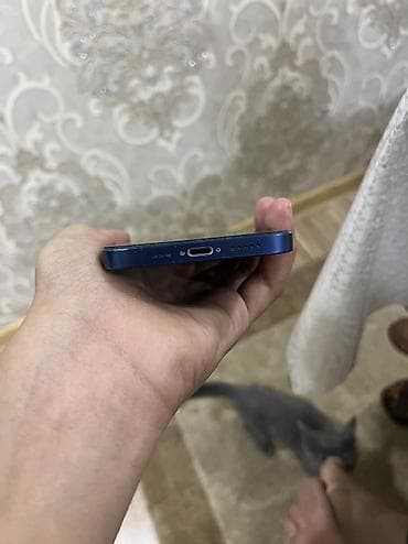 apple iphone se 2022: IPhone 12 — 5