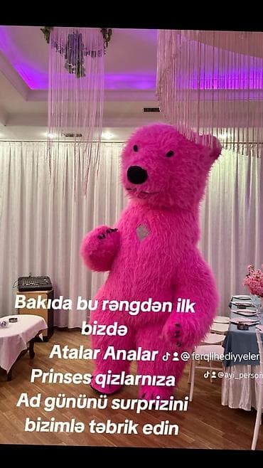 ev qapılar: Xüsusi günlər üçün nəhəng ayı maskotu ilə tədbirə çıxış xidməti. - — 2