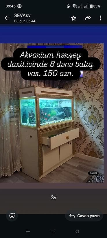 heyvanlar: Akvarium komplekti – hər şey daxil. Şkaflı dekorativ akvarium — 1