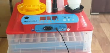 inkubator avadanlıqları satışı: Inkubator Rayonlara çatdırılma poct vasites ile heyata kechirilir 63 — 2