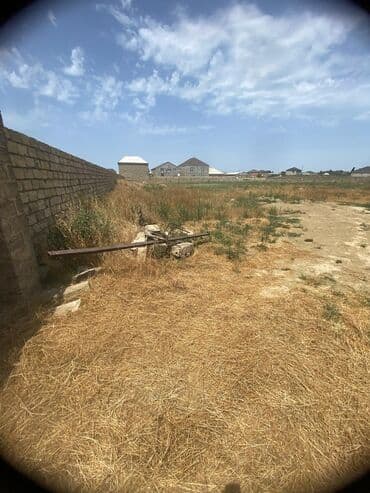 binə qəsəbəsi ats: 45 sot, Kənd təsərrüfatı, Mülkiyyətçi, Kupça (Çıxarış) — 5