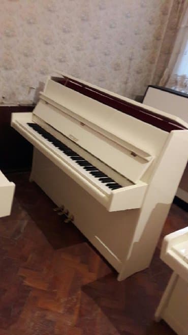 yamaha piano qiymeti: Pianino PETROF Cexya stehsalı olan Zəmanətli Ağ rəngli. Cadırılma və — 1