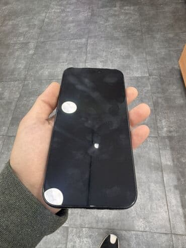 appl: IPhone 16 Pro Max, 256 GB, Qara, Face ID — 4