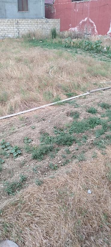 Mənzillər: Tikinti — 4