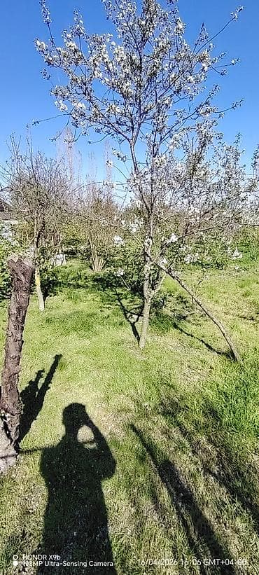 lənkəranda evlərin qiyməti: Satılır: Həyətli iki mərtəbəli ev
Endirim olacaq — 8