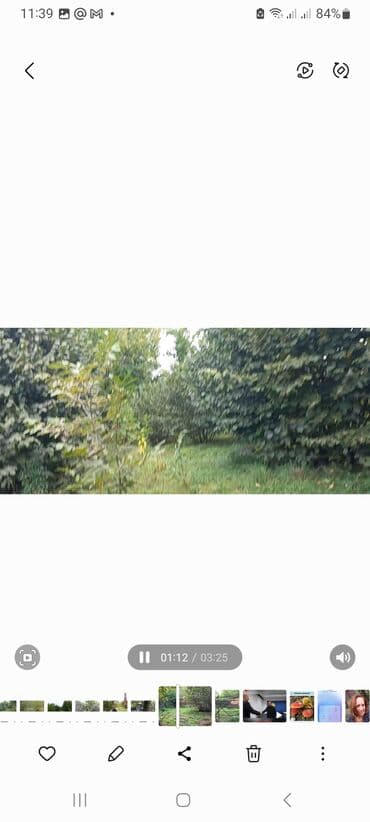 аренда и продажа недвижимости: Продаётся сад — 2