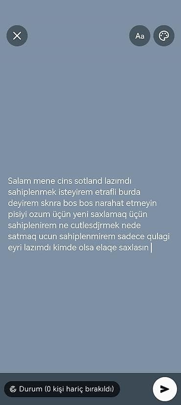 cins keci: Şotland yastı qulaq, Yaxşı əllərə — 1