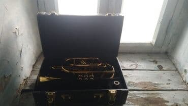 zeynep bastık baku: Arginaldi qiymet 1600 — 3