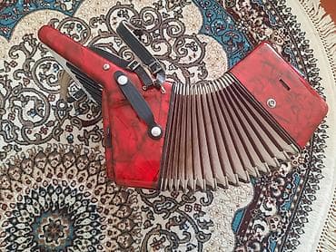 ucuz idman qidalari: Akkordeon, İşlənmiş, Rayonlara çatdırılma — 5