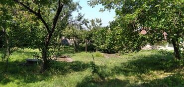 объявления о продаже земельных участков: 10 соток, Для сельского хозяйства — 2